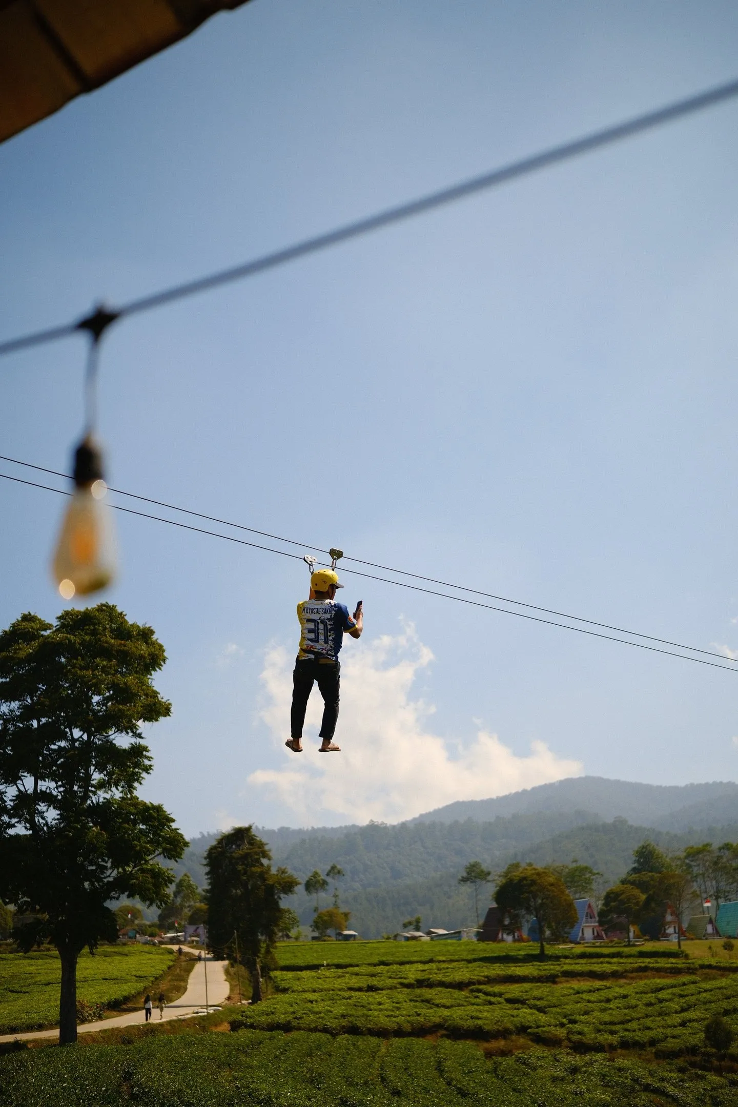 Flying Fox