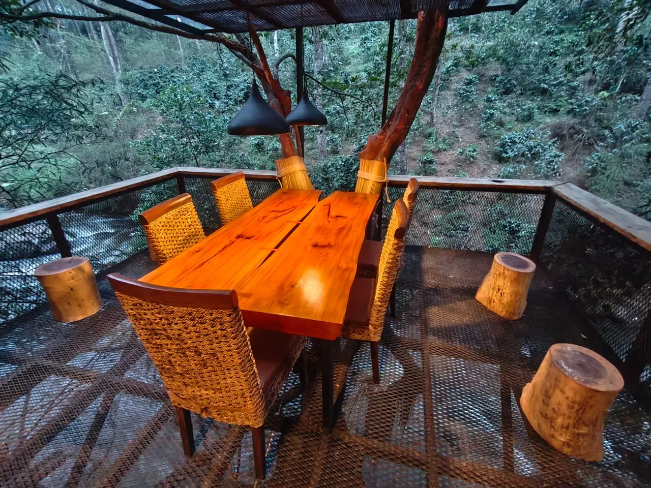 Gallery Cabin VIP-A 2